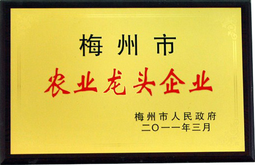 梅州市農業龍頭企業